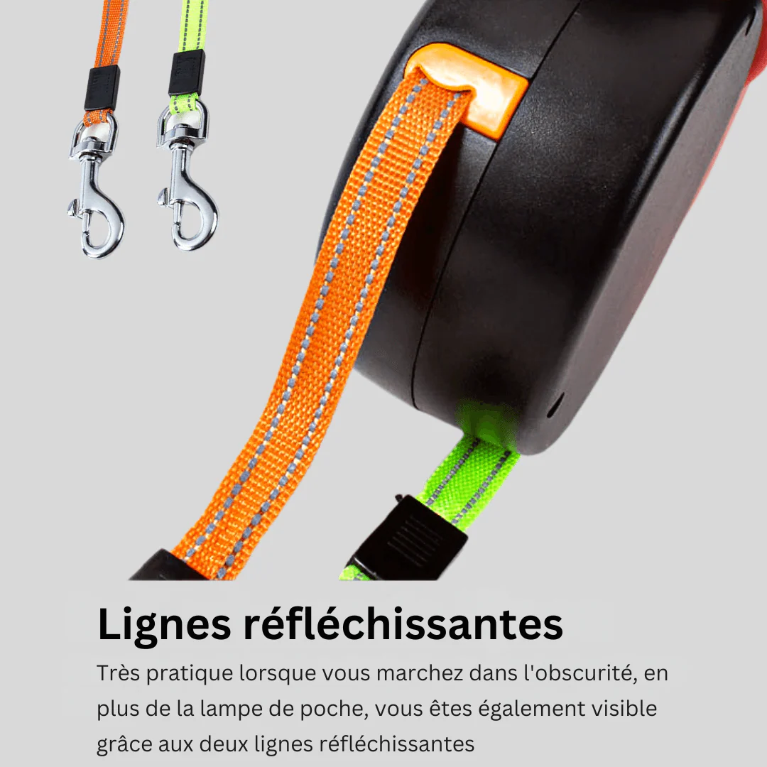 DuoLeash - Système de Laisse Confortable Pour Promener Deux Chiens Ensemble - Image 4