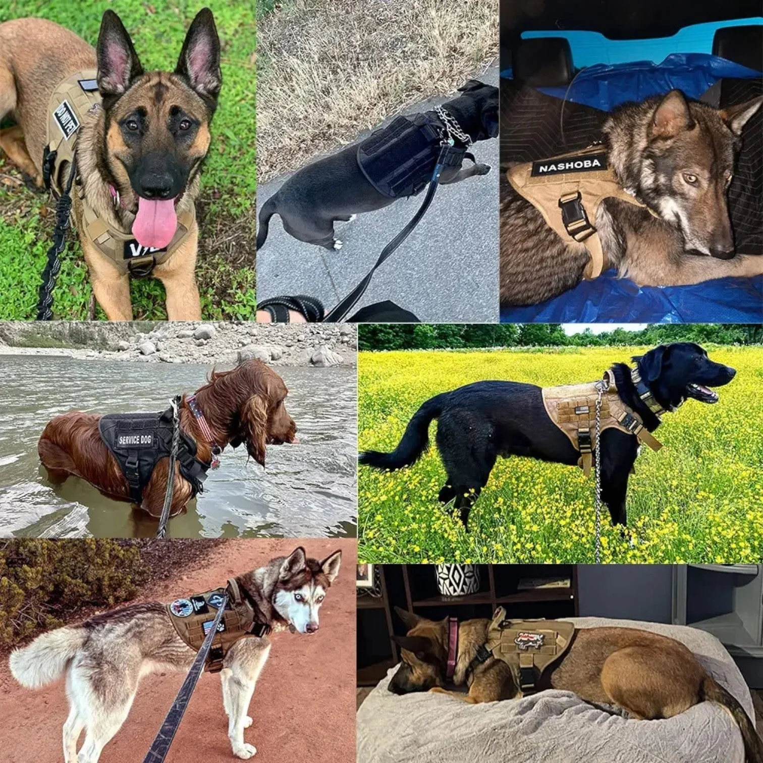 PawCommand - Harnais pour chien sécurisé avec ajustement réglable et conception de contrôle facile - Image 9