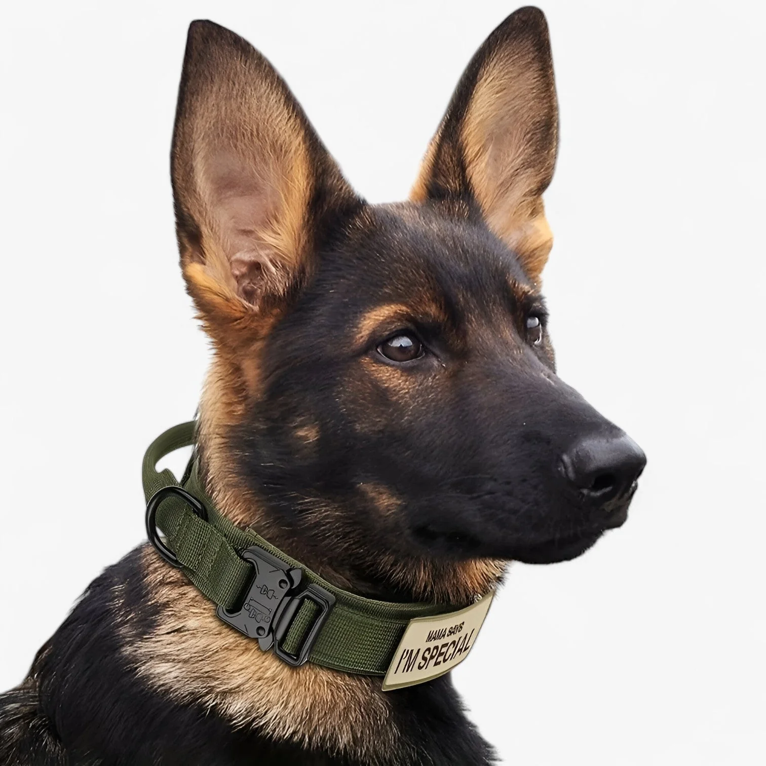 PawHold – Collier tactique pour chien avec poignée de contrôle pour un dressage et une manipulation en toute confiance - Image 10